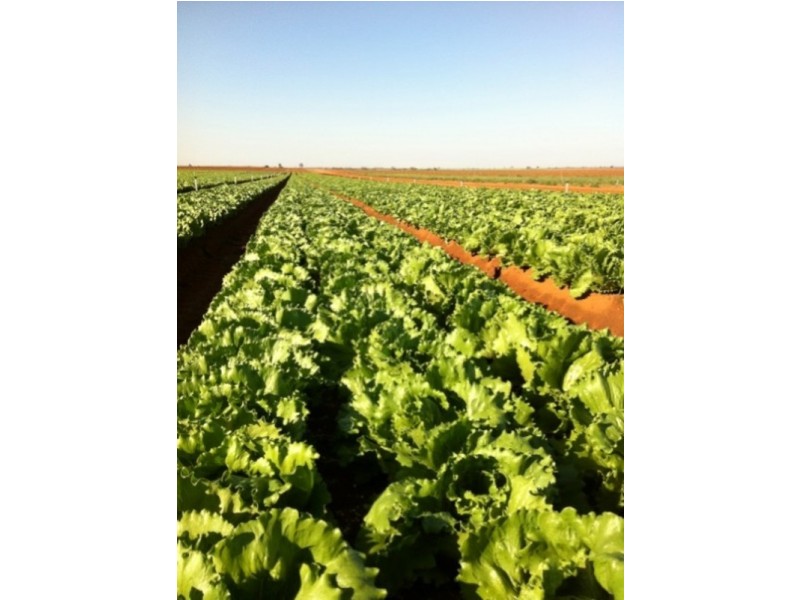 Lots 8, 9 & 10 Hocking Road, Happy Valley VIC 3549