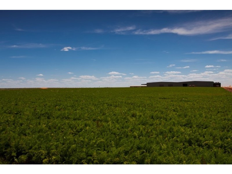 Lots 8, 9 & 10 Hocking Road, Happy Valley VIC 3549