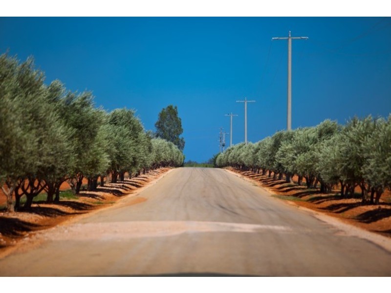 Lots 8, 9 & 10 Hocking Road, Happy Valley VIC 3549