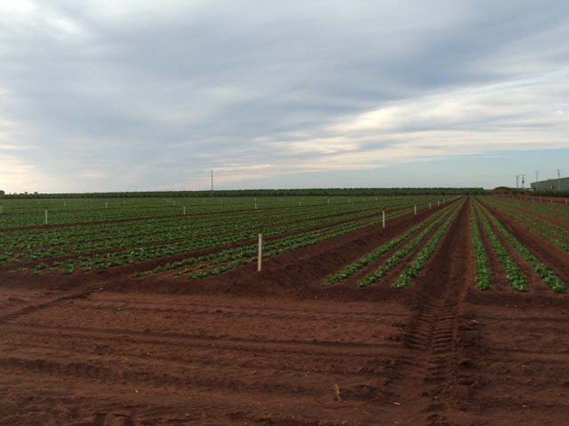 Lots 8, 9 & 10 Hocking Road, Happy Valley VIC 3351