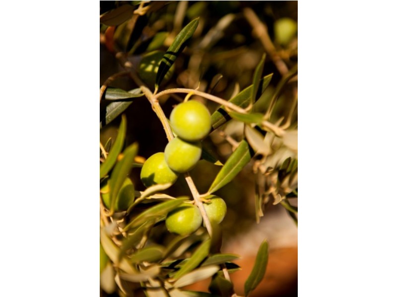 Lots 8, 9 & 10 Hocking Road, Happy Valley VIC 3351