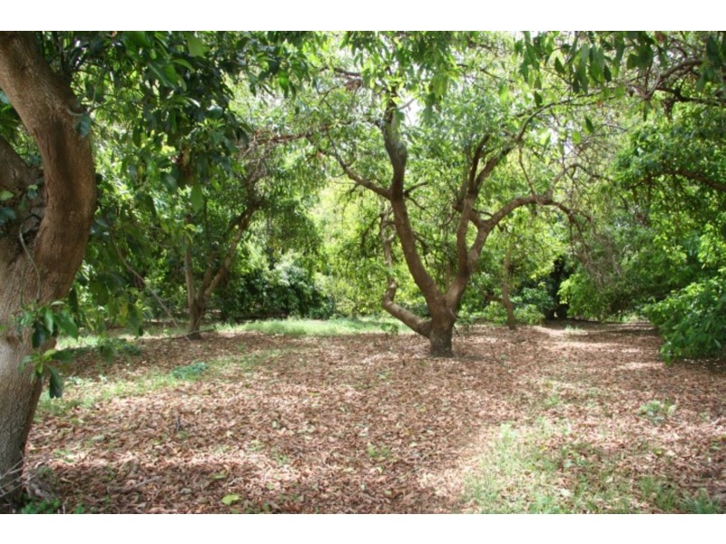 140 Melaleuca Street, Buronga NSW 2739