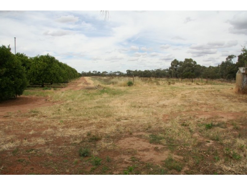 140 Melaleuca Street, Buronga NSW 2739