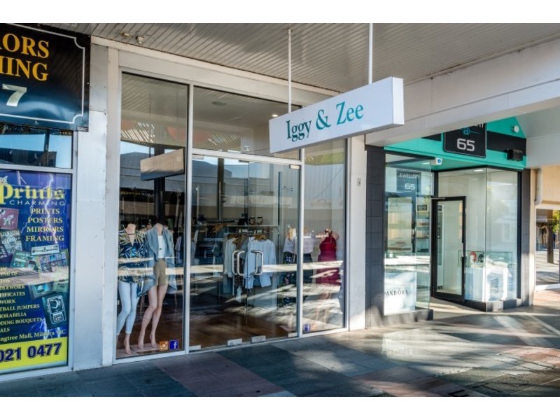 67 & 67a Langtree Avenue, Mildura VIC 3500