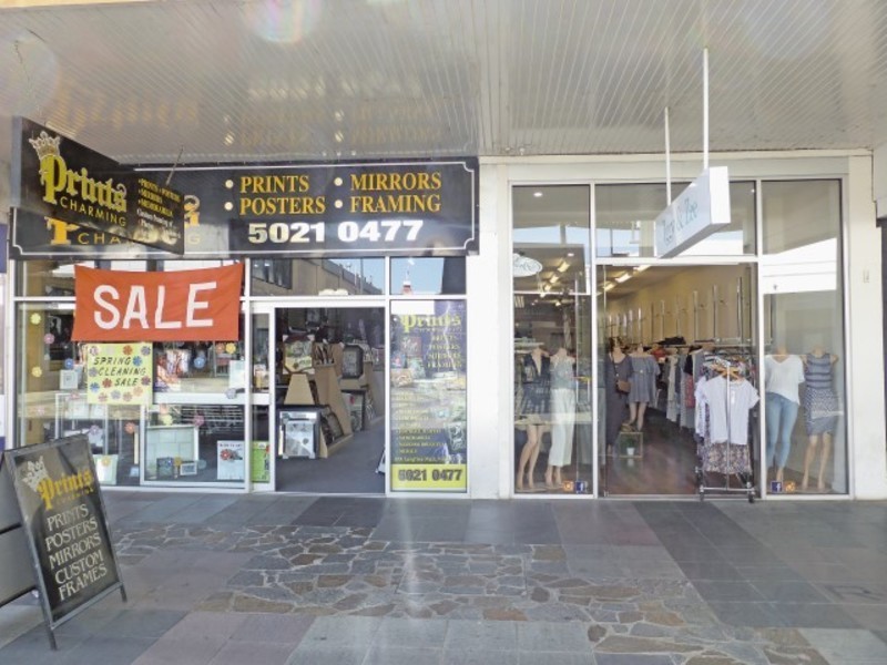 67 & 67a Langtree Avenue, Mildura VIC 3500