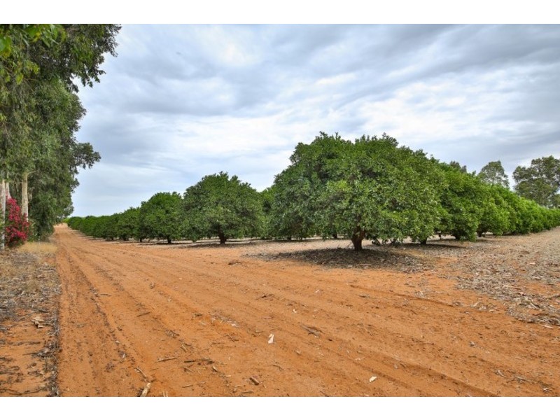 Blk/366 Citrus Drive, Dareton NSW 2717