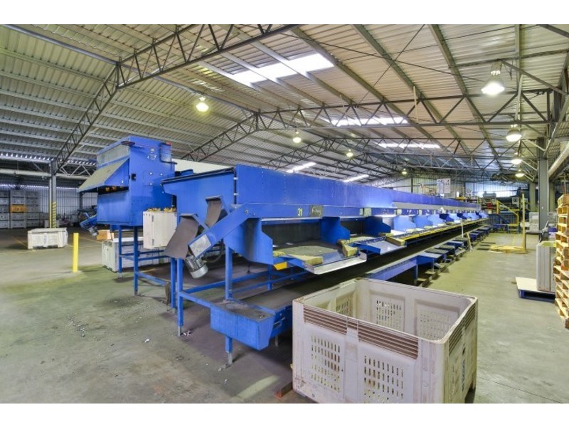 Blk/366 Citrus Drive, Dareton NSW 2717