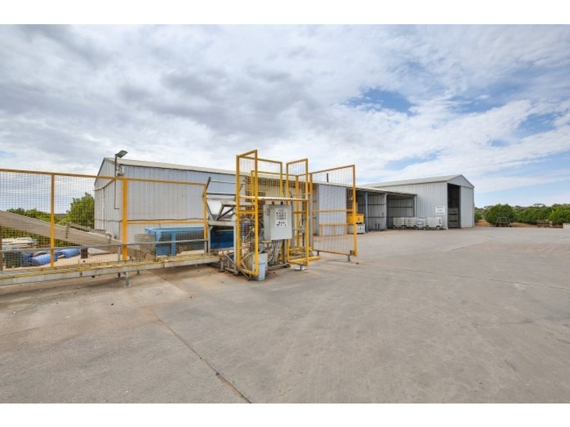 Blk/366 Citrus Drive, Dareton NSW 2717