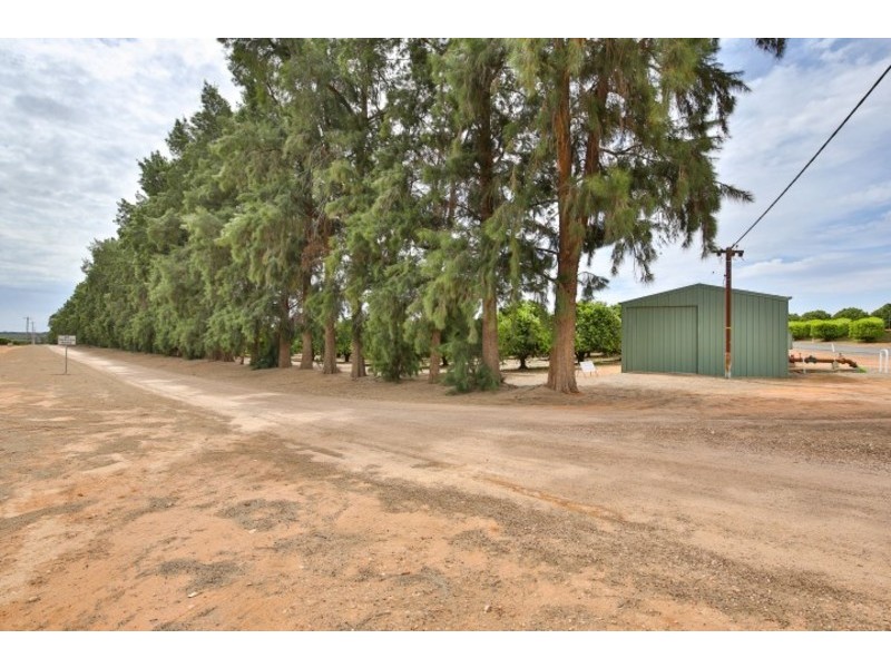 Blk/366 Citrus Drive, Dareton NSW 2717