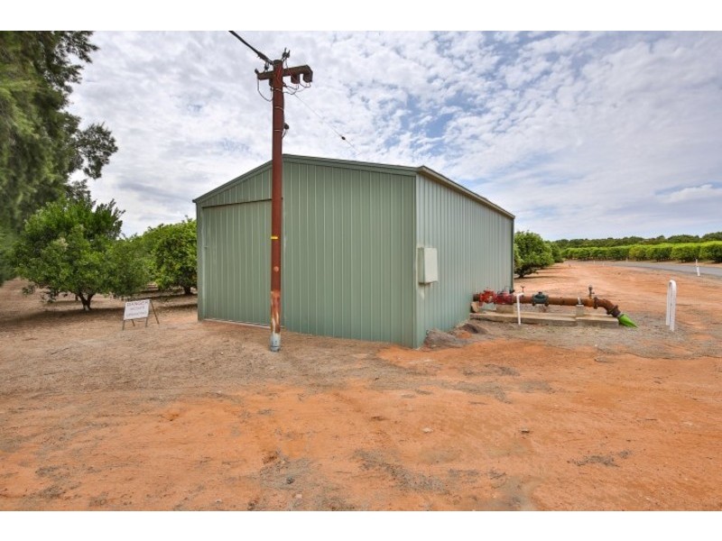 Blk/366 Citrus Drive, Dareton NSW 2717