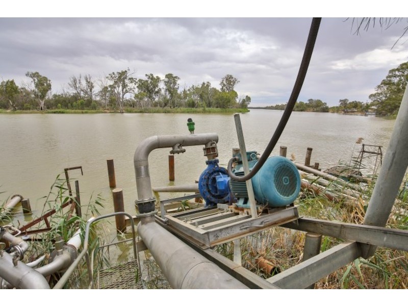 Blk/366 Citrus Drive, Dareton NSW 2717