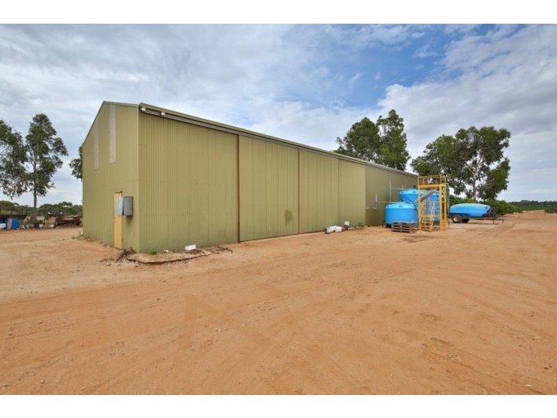 Blk/366 Citrus Drive, Dareton NSW 2717