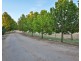 29 Fern Avenue, Nichols Point VIC 3501