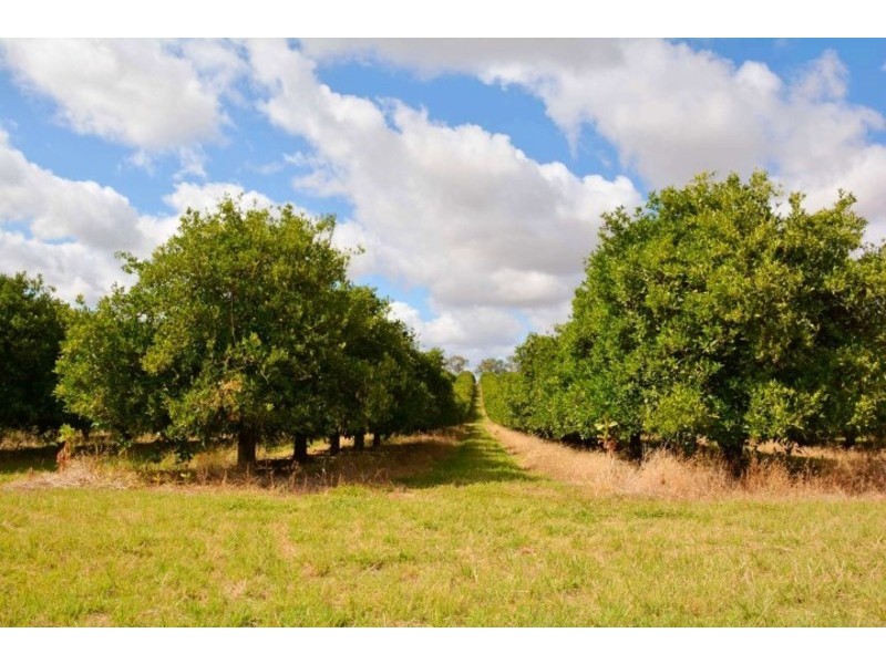 166 George Irwin Road, Colignan VIC 3494