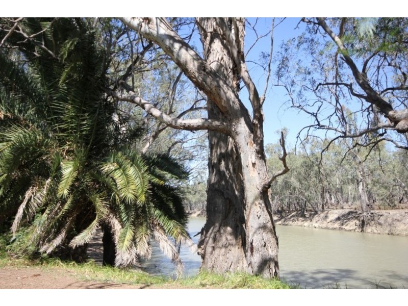 12 Cally Street, Balranald NSW 2715