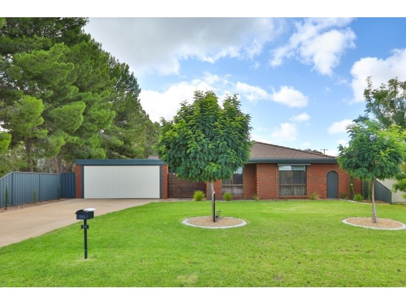 21 Wilkie Drive, Irymple VIC 3498