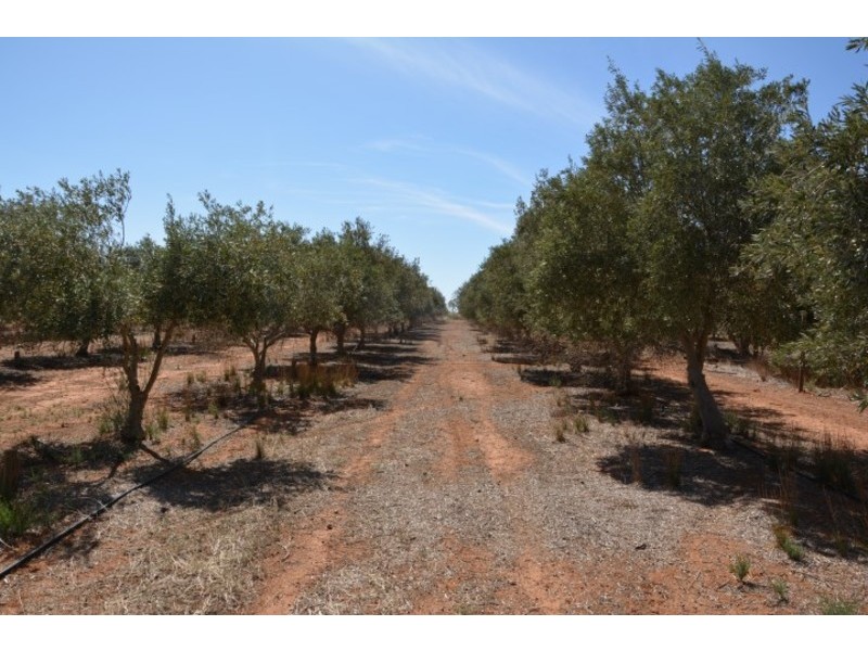 489. Boomerang Avenue, Cardross VIC 3496