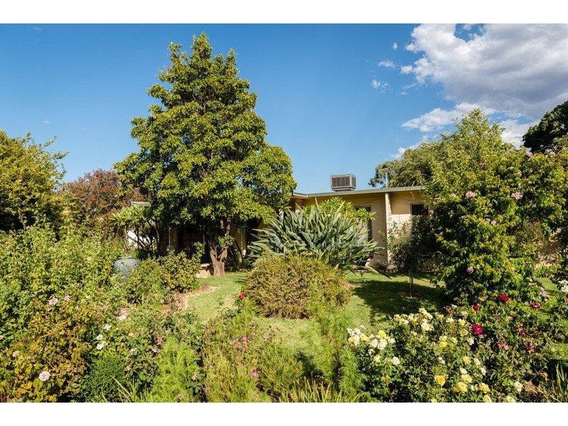 173 Channel Road, Merbein VIC 3505