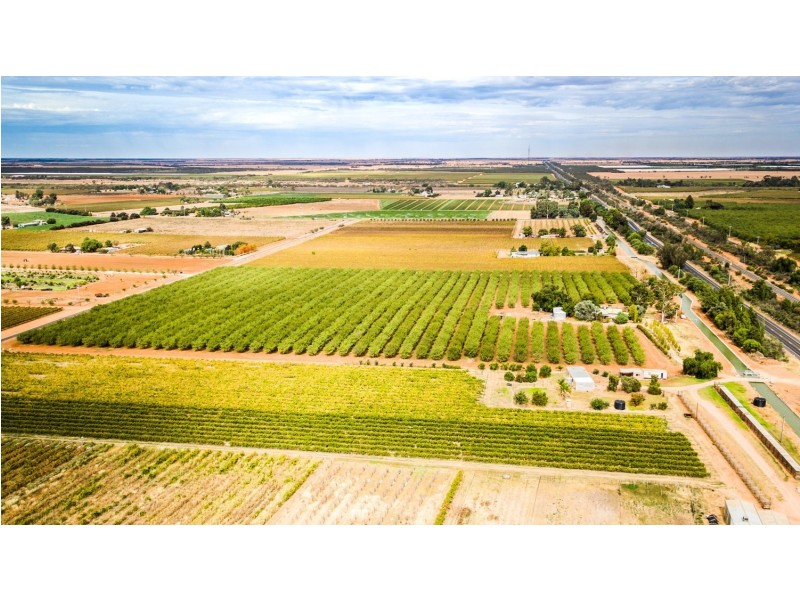 213 Calder Highway, Red Cliffs VIC 3496