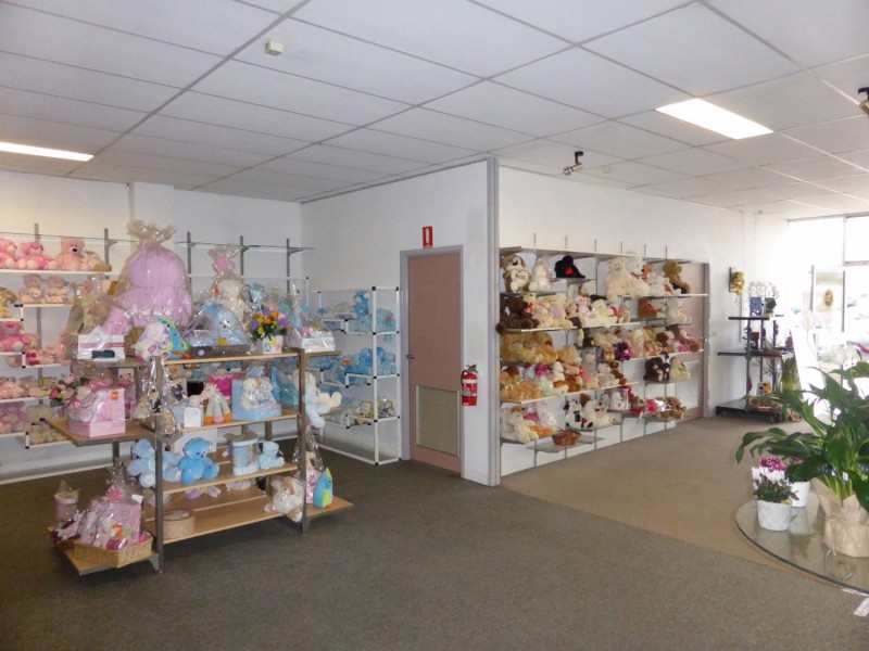 107 Lime Avenue, Mildura VIC 3500