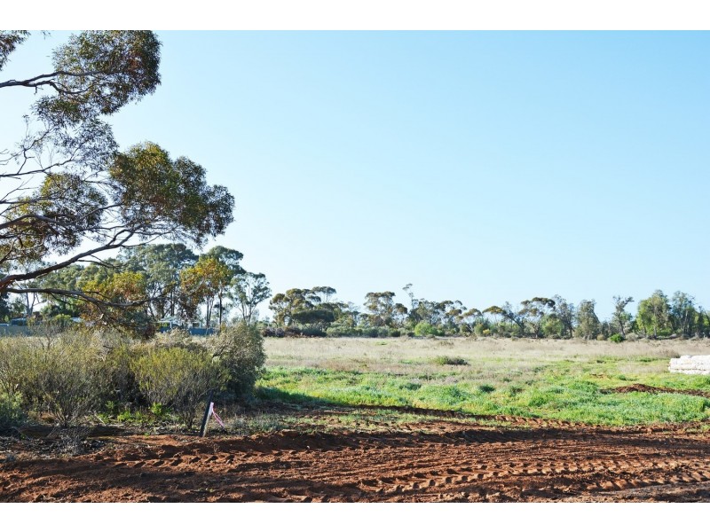 3249 A & B Sixteenth Street, Irymple VIC 3498