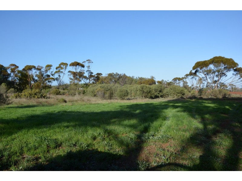 3249 A & B Sixteenth Street, Irymple VIC 3498