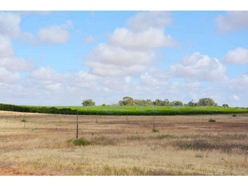 166 George Irwin Road, Colignan VIC 3494