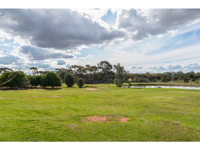 237 Coorong Avenue, Irymple VIC 3498