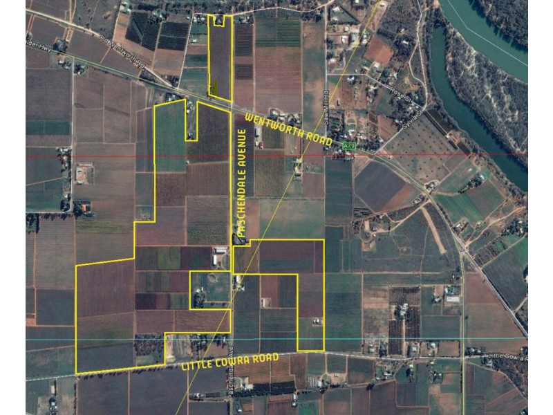 115  Paschendale Avenue, Yelta VIC 3505