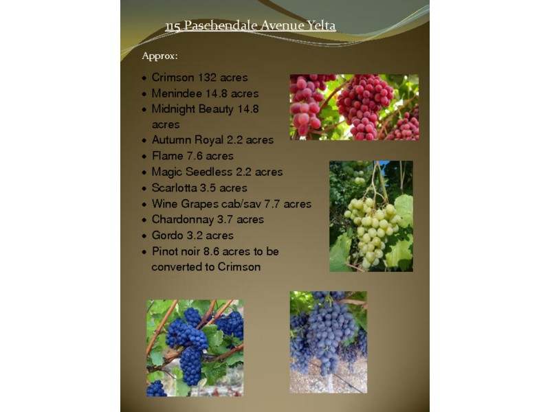 115  Paschendale Avenue, Yelta VIC 3505