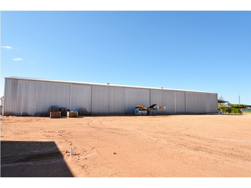 115  Paschendale Avenue, Yelta VIC 3505