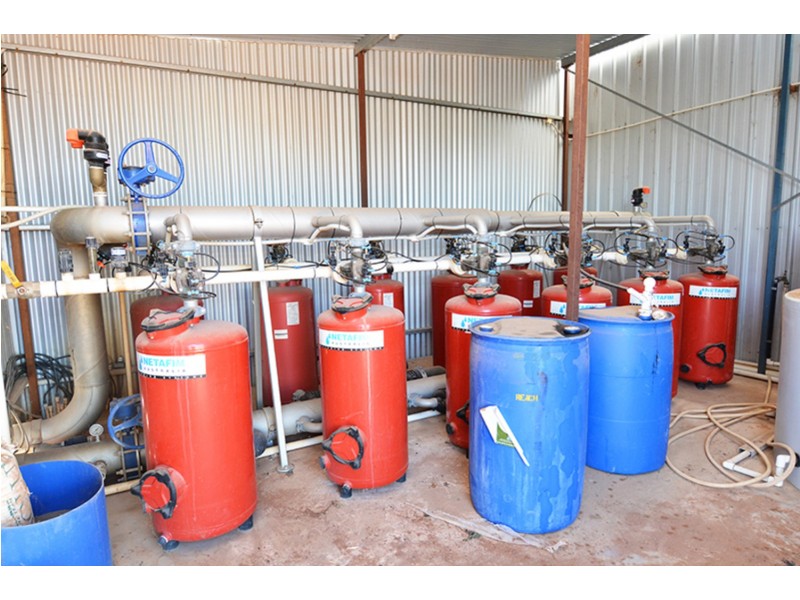 115  Paschendale Avenue, Yelta VIC 3505