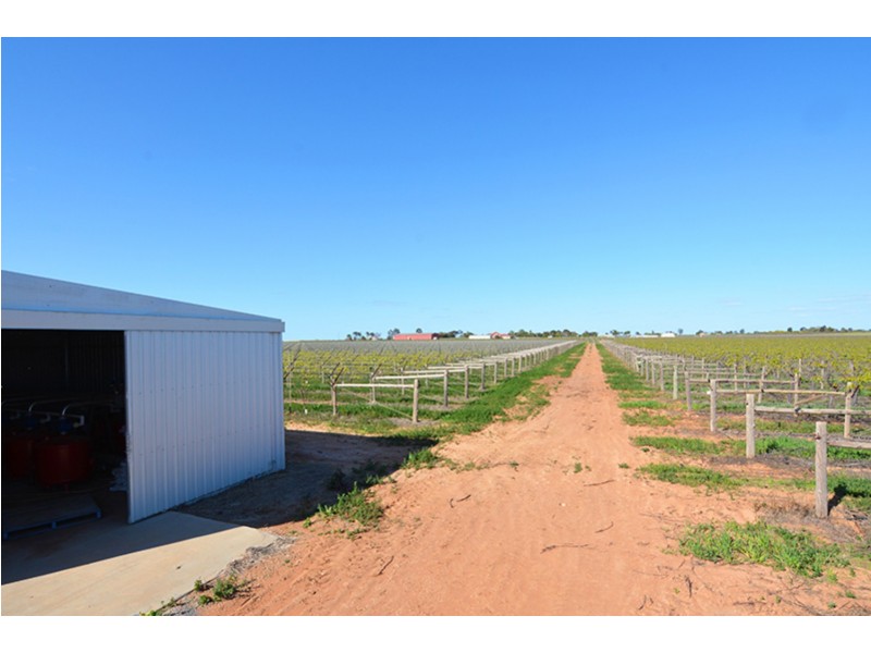 115  Paschendale Avenue, Yelta VIC 3505