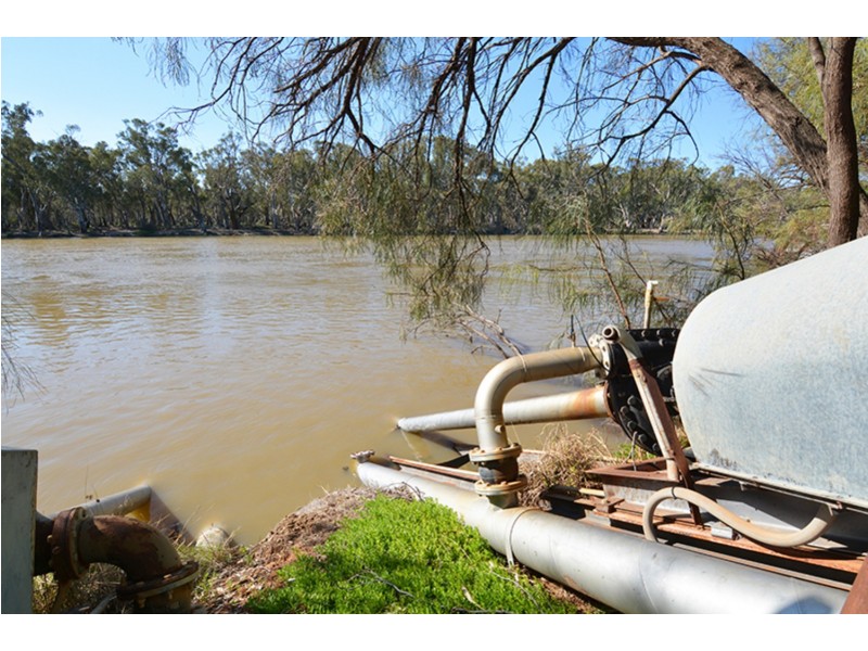 115  Paschendale Avenue, Yelta VIC 3505