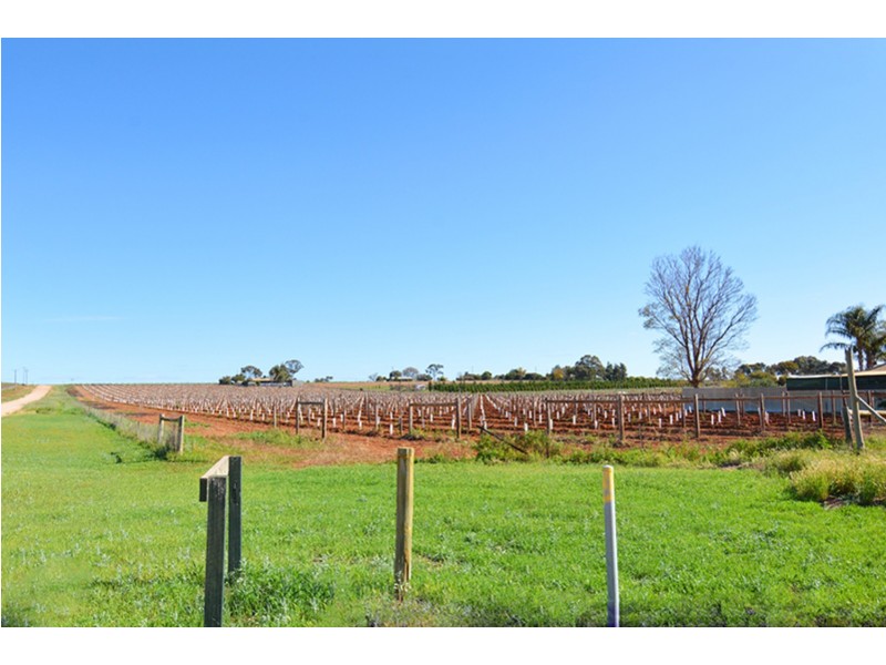 115  Paschendale Avenue, Yelta VIC 3505