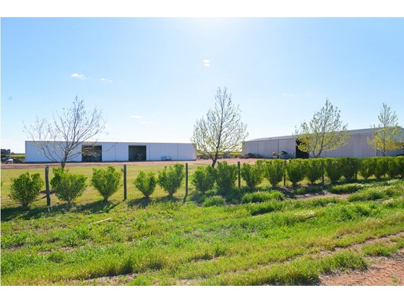 115  Paschendale Avenue, Yelta VIC 3505