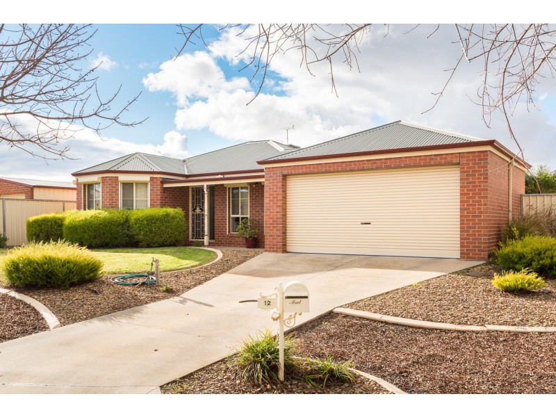 12 Ularara Drive, Mildura VIC 3500