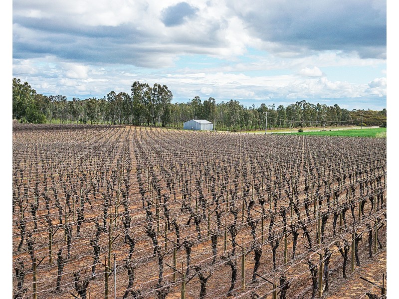 162 Scout Hall Road, Red Cliffs VIC 3496