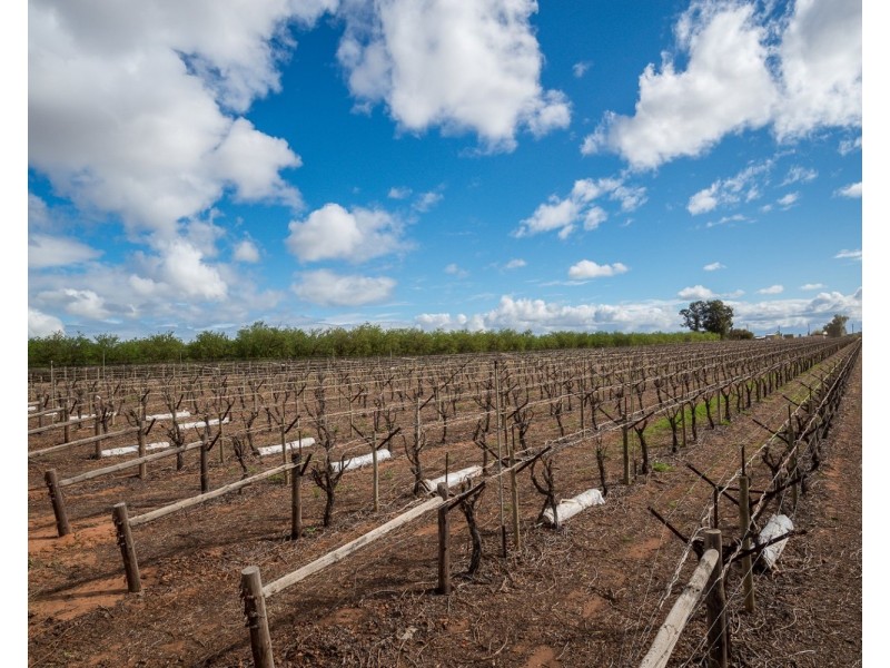 162 Scout Hall Road, Red Cliffs VIC 3496