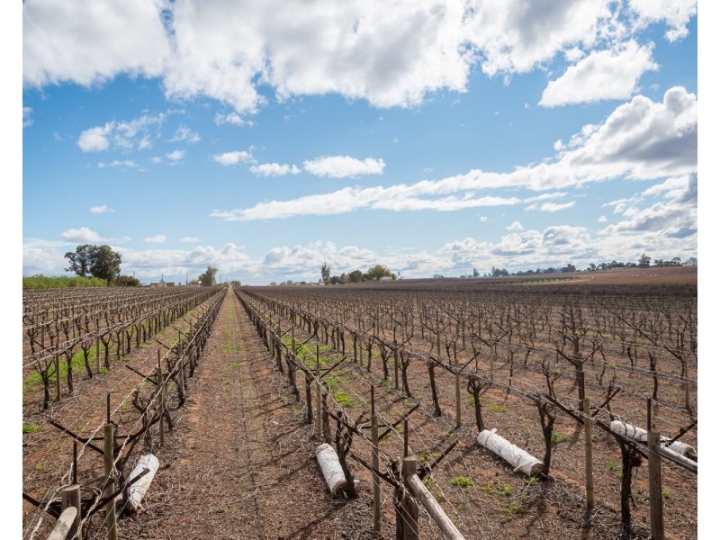 162 Scout Hall Road, Red Cliffs VIC 3496