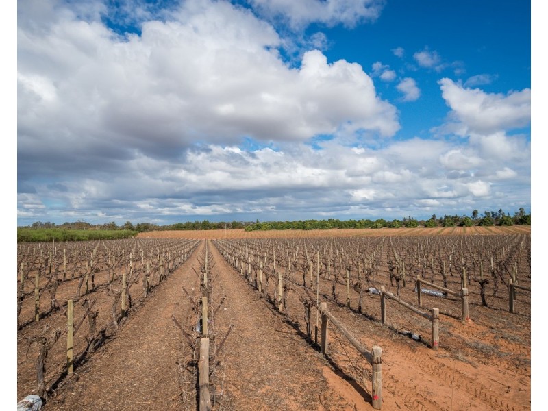 162 Scout Hall Road, Red Cliffs VIC 3496