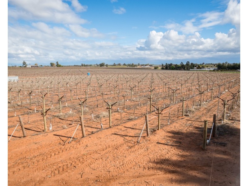 162 Scout Hall Road, Red Cliffs VIC 3496