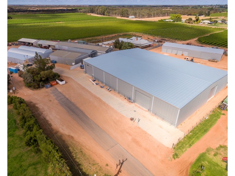 162 Scout Hall Road, Red Cliffs VIC 3496