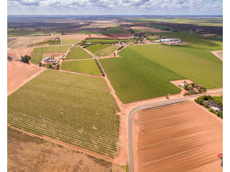 162 Scout Hall Road, Red Cliffs VIC 3496