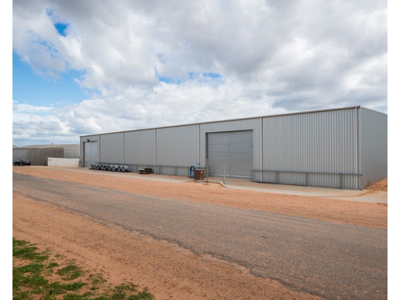 162 Scout Hall Road, Red Cliffs VIC 3496