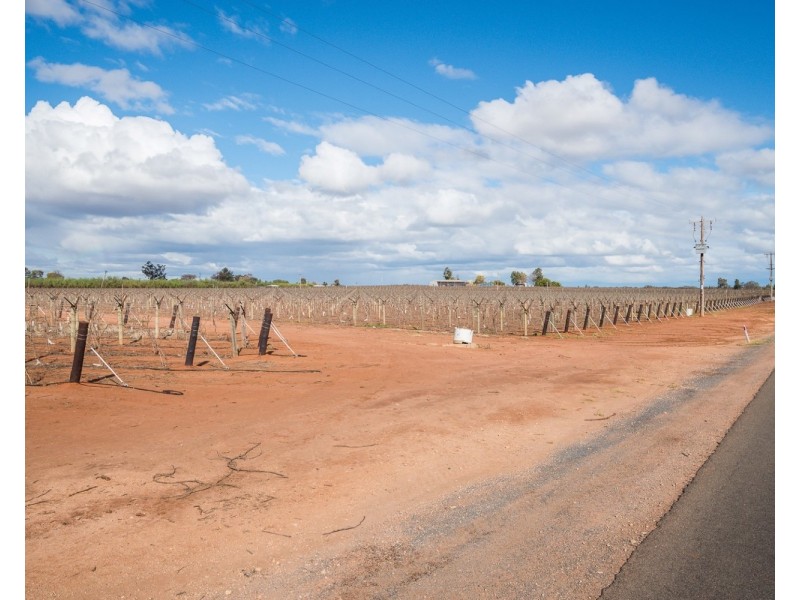 162 Scout Hall Road, Red Cliffs VIC 3496