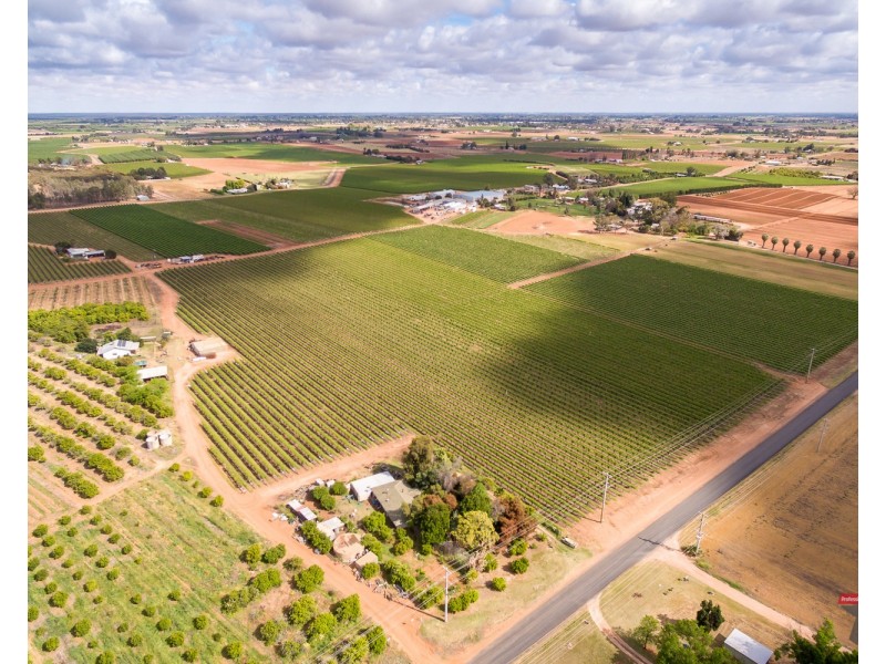 162 Scout Hall Road, Red Cliffs VIC 3496