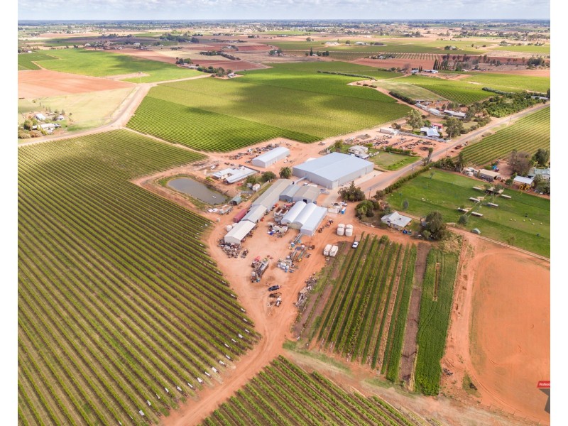 162 Scout Hall Road, Red Cliffs VIC 3496