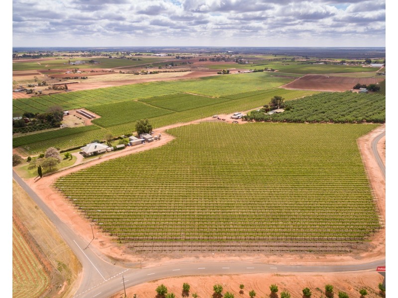 162 Scout Hall Road, Red Cliffs VIC 3496