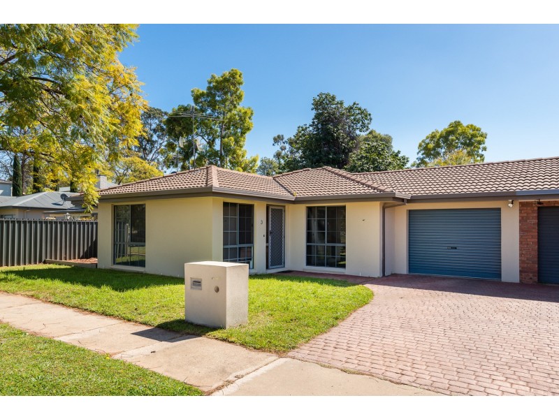 Unit 3/163 Walnut Avenue, Mildura VIC 3500